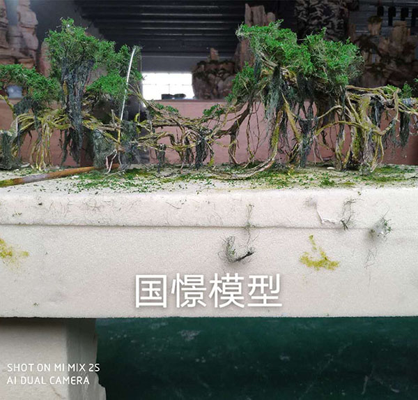 仁布县场景模型